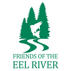 Friends of the Eel